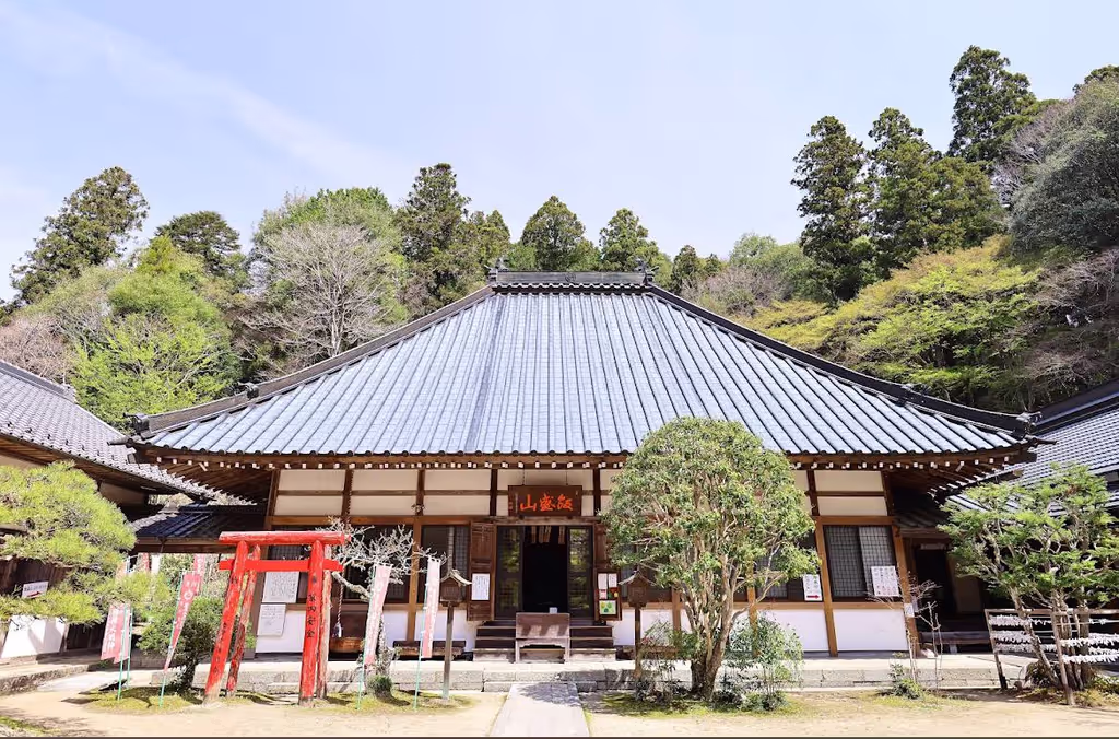 Nagoya Private Tour - 