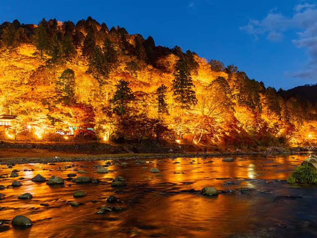 Nagoya Private Tour - 