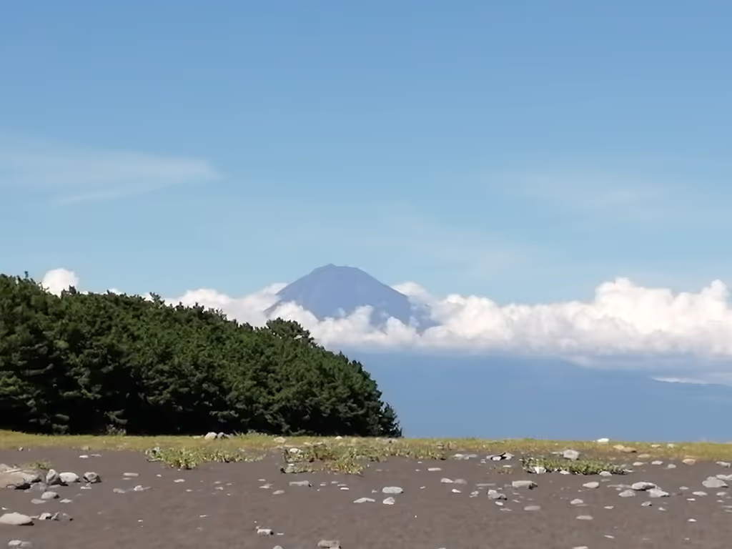 Shimizu Private Tour - Miho Pine Groves