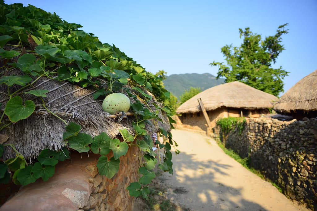 Gwangju Private Tour - Naganeupseong Walled Town
