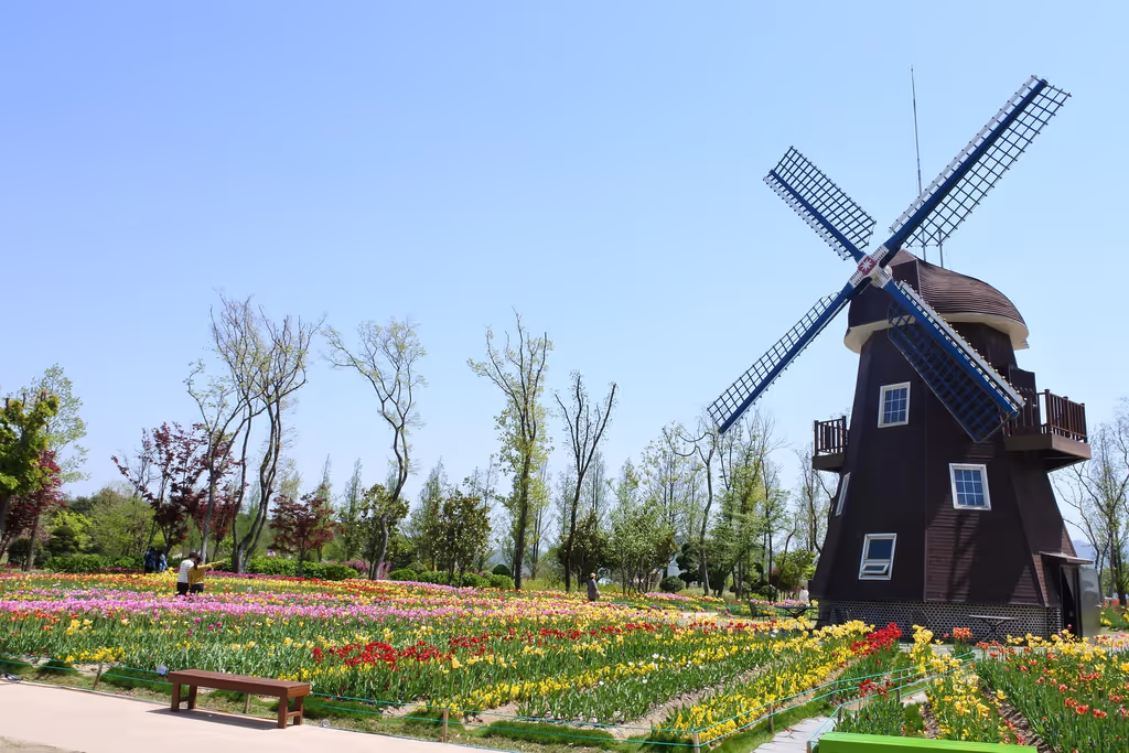 Gwangju Private Tour - Suncheonman Bay National Garden
