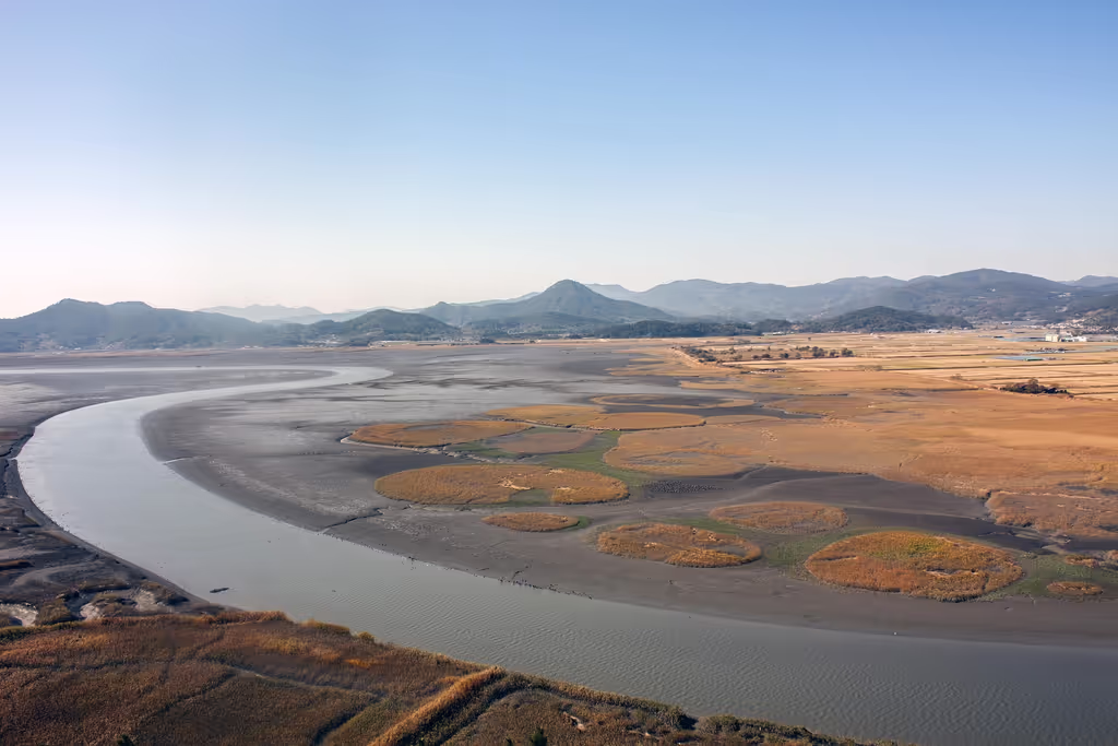 Gwangju Private Tour - Suncheonman Bay Wetland