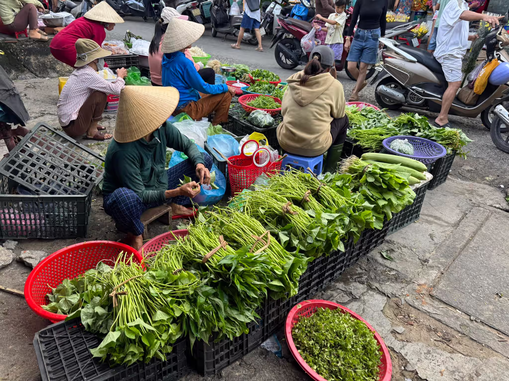 Hoi An Private Tour - 