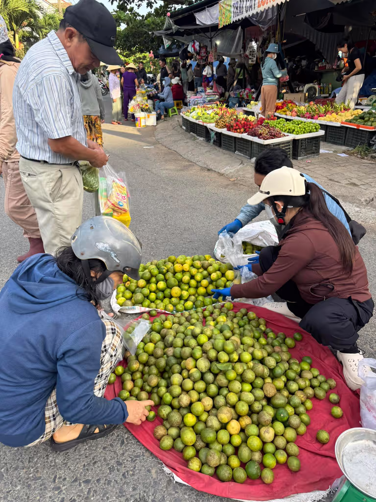 Hoi An Private Tour - 