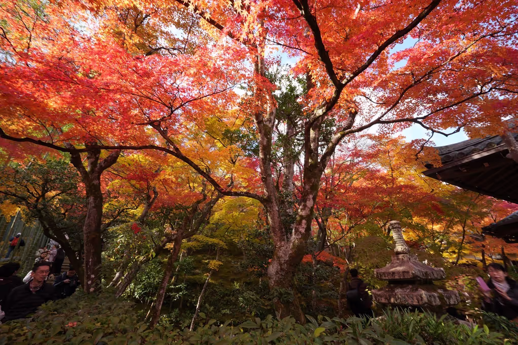 Osaka Private Tour - Jojakkoji Temple
