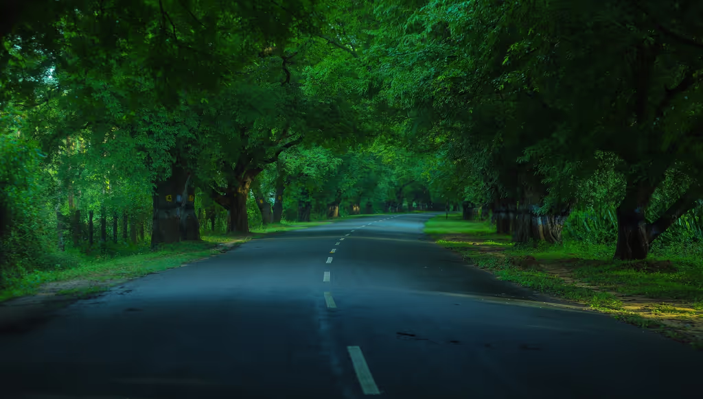 Chennai Private Tour - Scenic Road