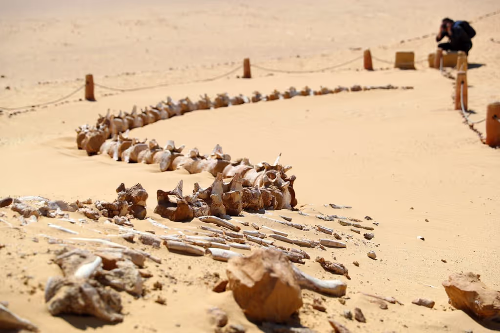 Cairo Private Tour - 