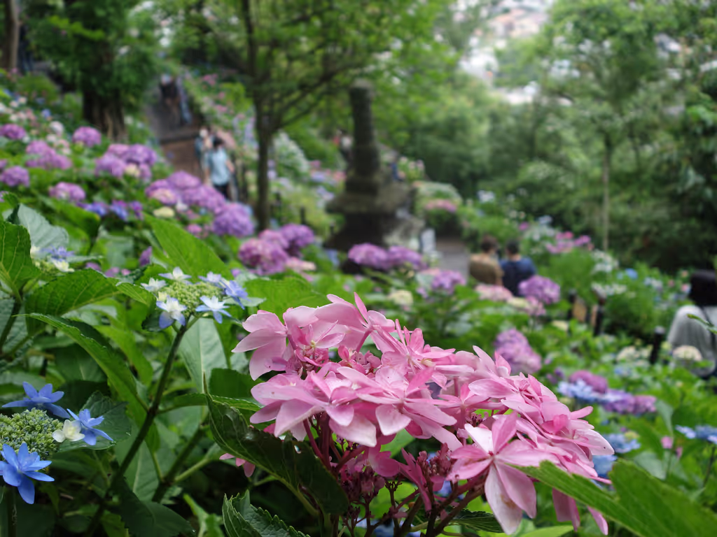 Kamakura Private Tour - 
