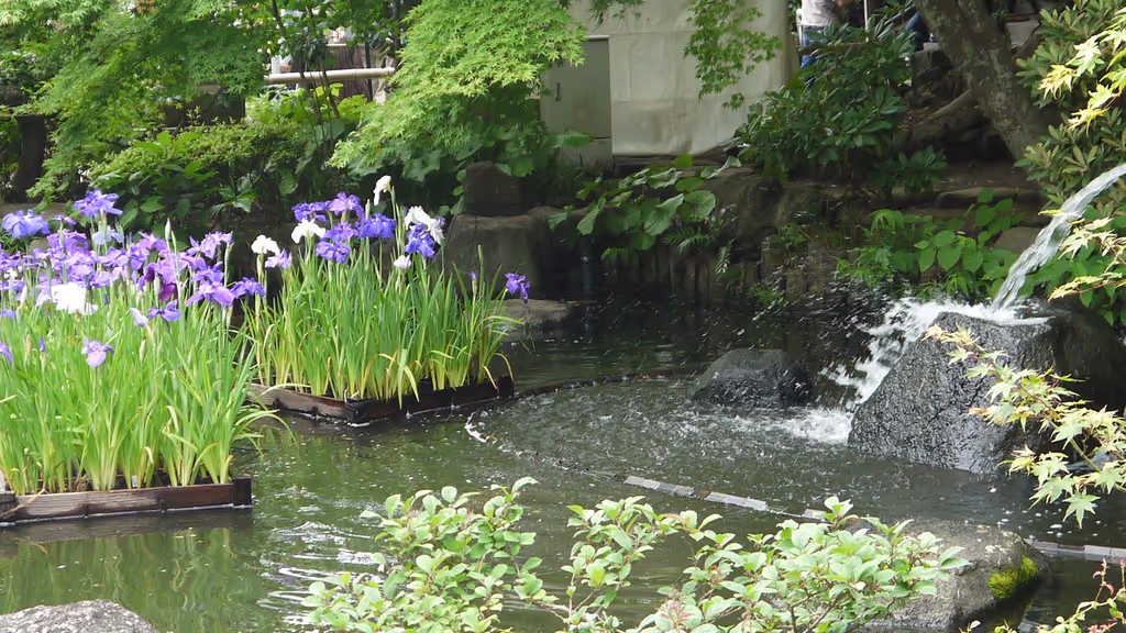 Kamakura Private Tour - 
