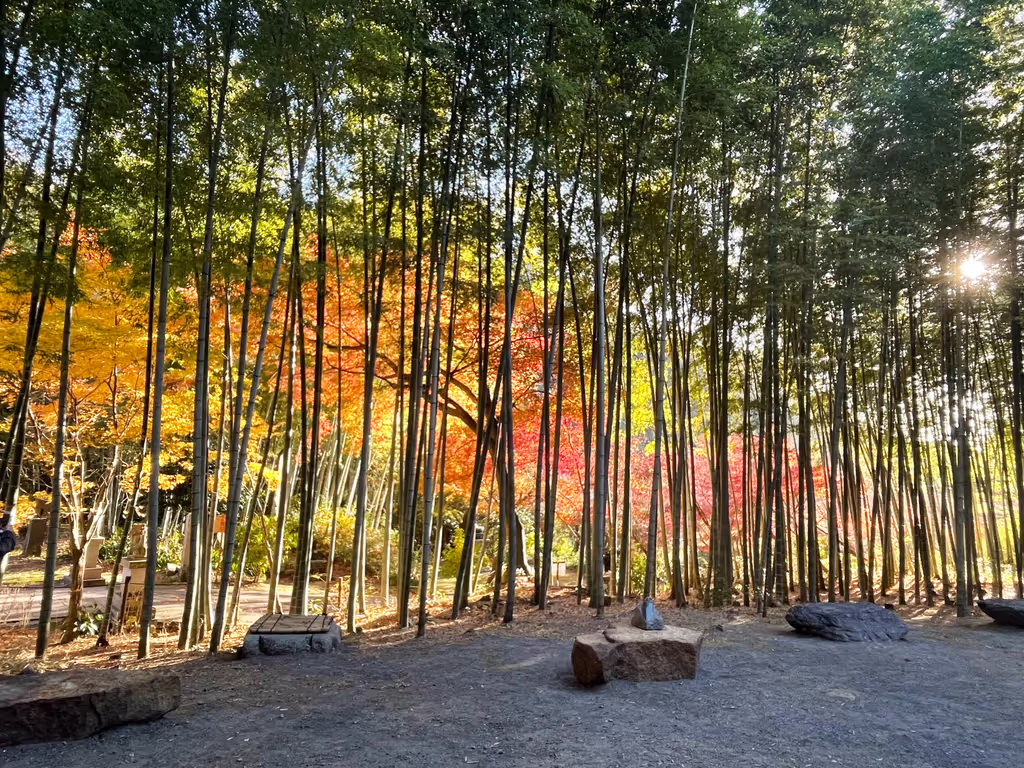 Kamakura Private Tour - 