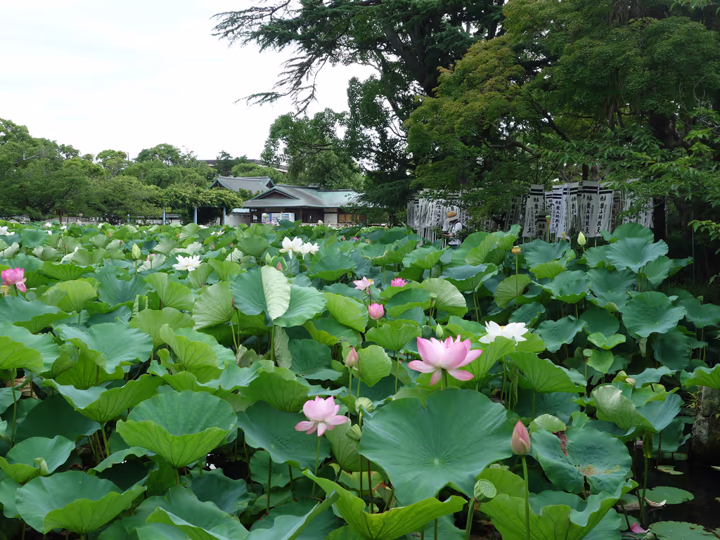 Kamakura Private Tour - 