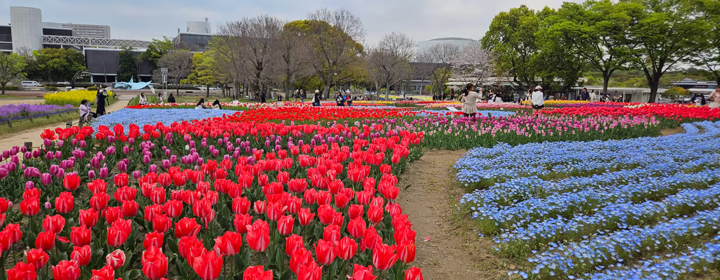 Osaka Private Tour - Spring