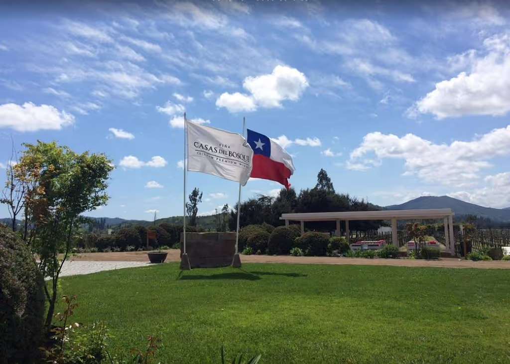 Santiago Private Tour - 