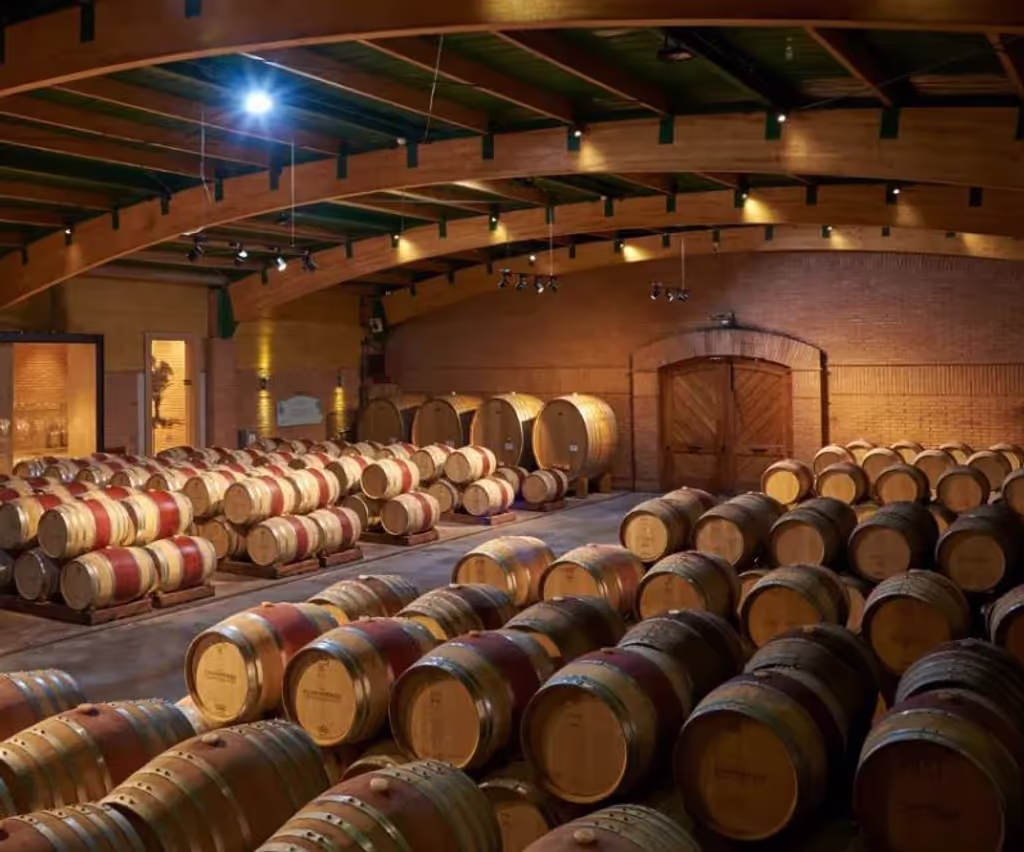 Santiago Private Tour - 
