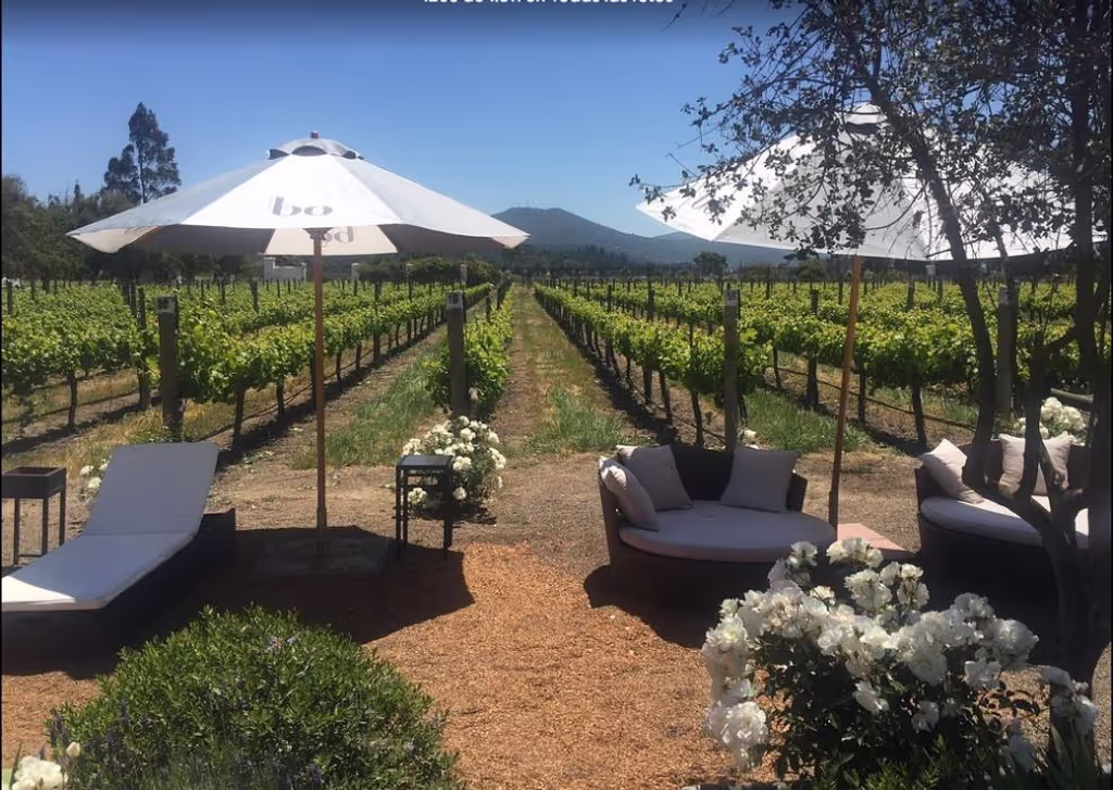 Santiago Private Tour - 
