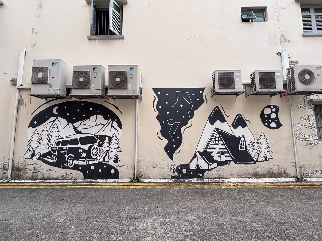 Singapore Private Tour - Mural Art (Tyrwhitt Road)
