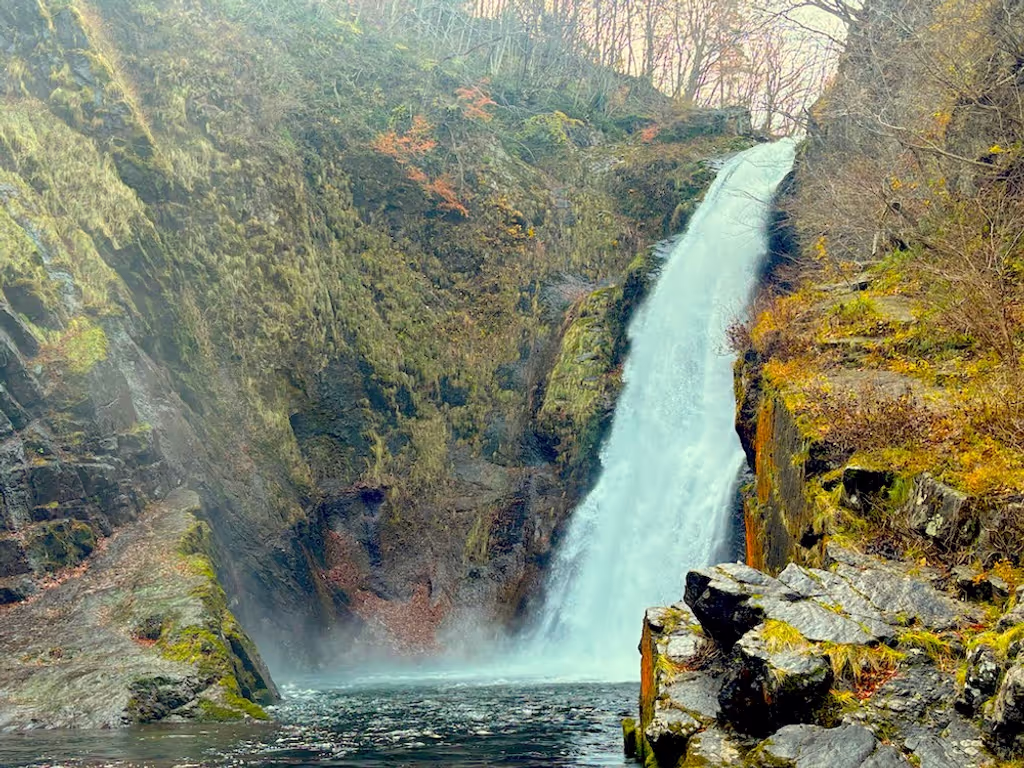 Miyagi Private Tour - Akiu Great Fall