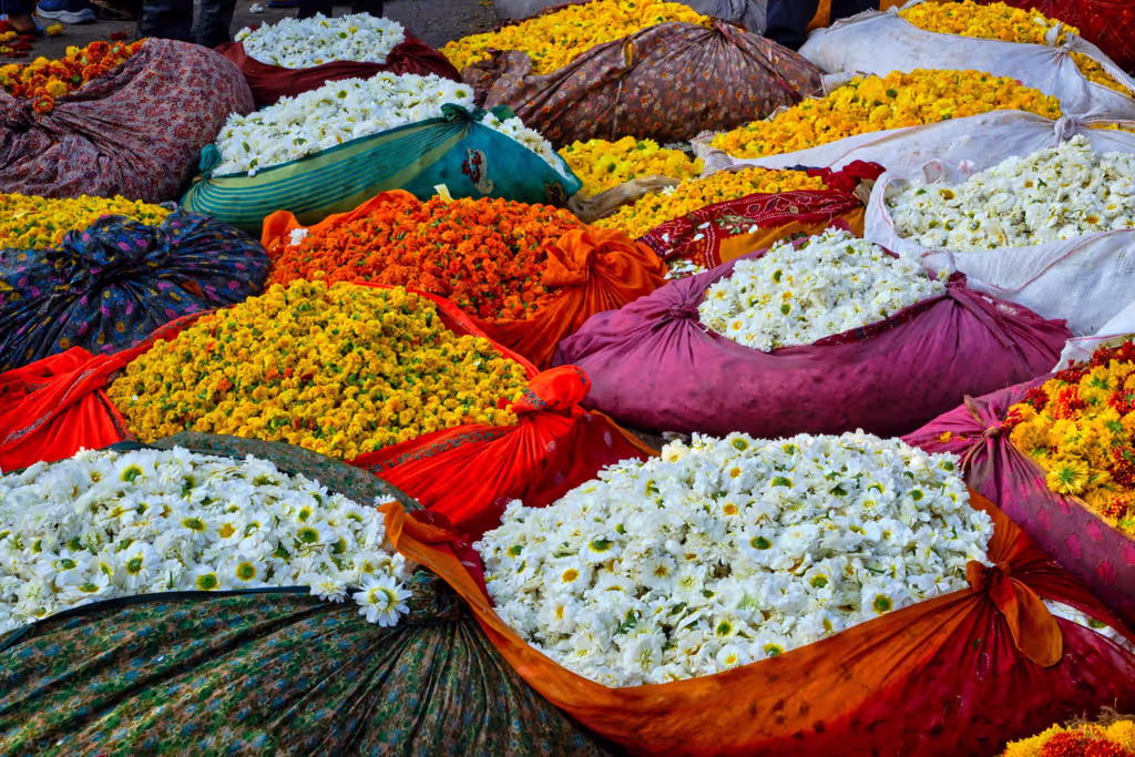 Jaipur Private Tour - Jaipur's flower Market