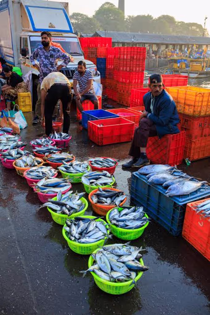 Mumbai Private Tour - Fish market