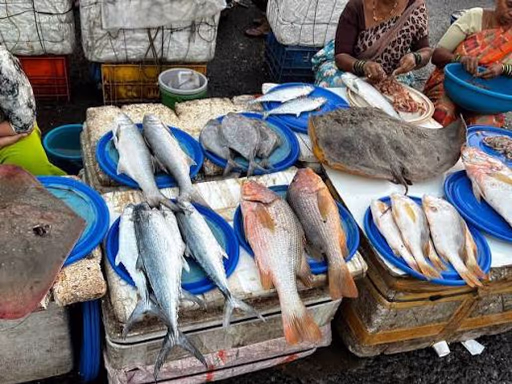 Mumbai Private Tour - Sasson dock
