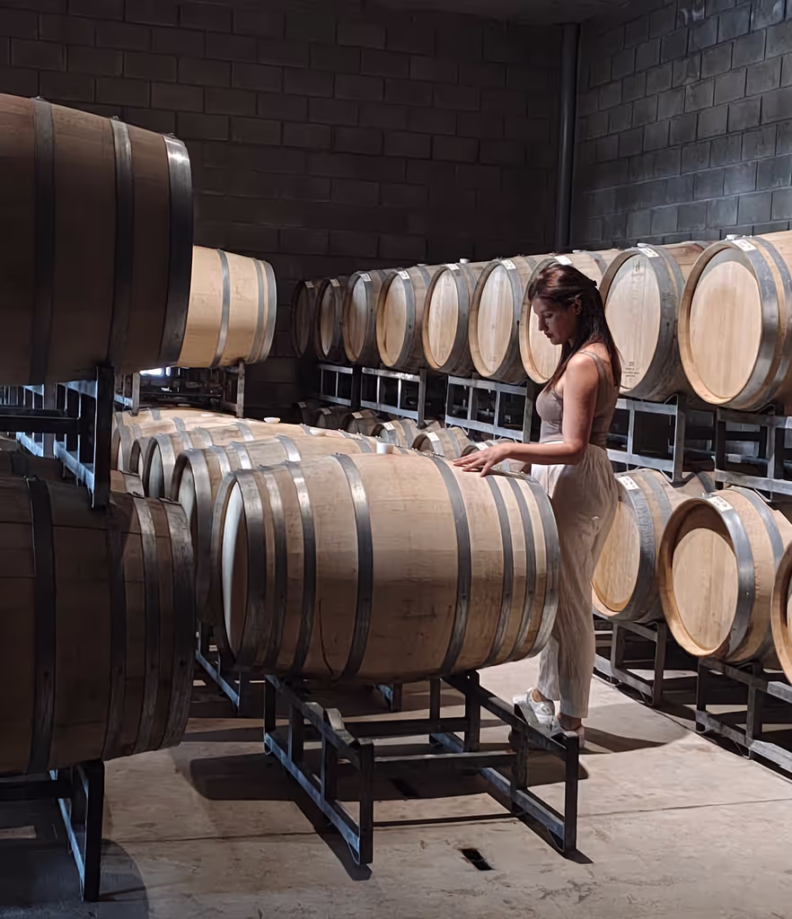 Mendoza Private Tour - Manuel villafalñe