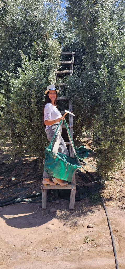 Mendoza Private Tour - 