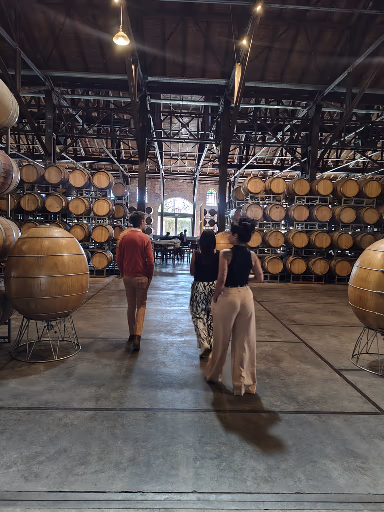 Mendoza Private Tour - Los toneles