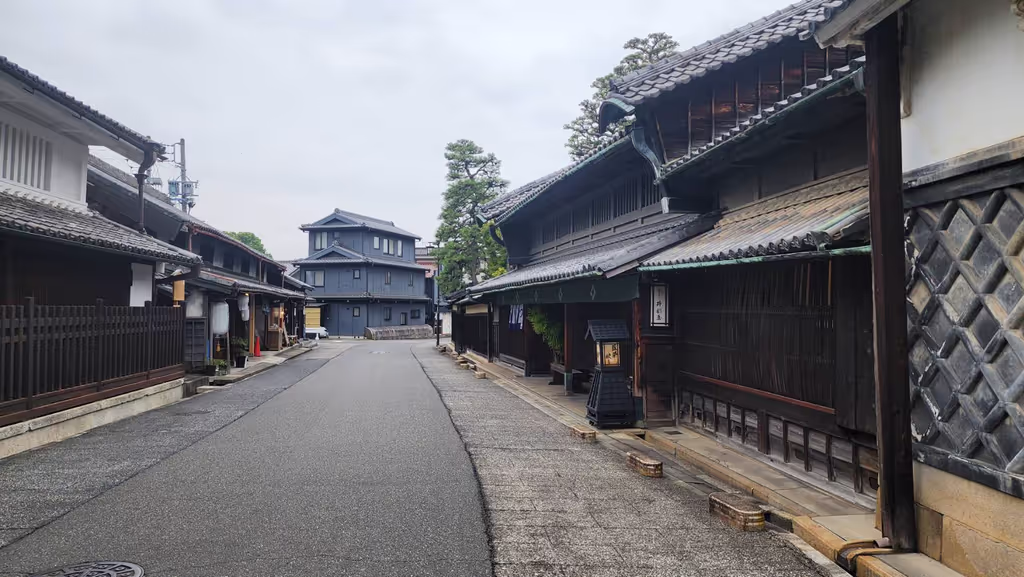 Nagoya Private Tour - Stroll Through Historic Arimatsu Streets