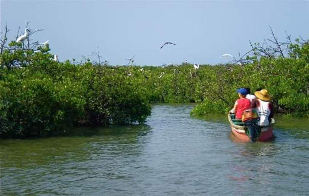 Dakar Private Tour - Birdwatching