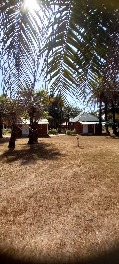 Dakar Private Tour - Animist village of Casamance