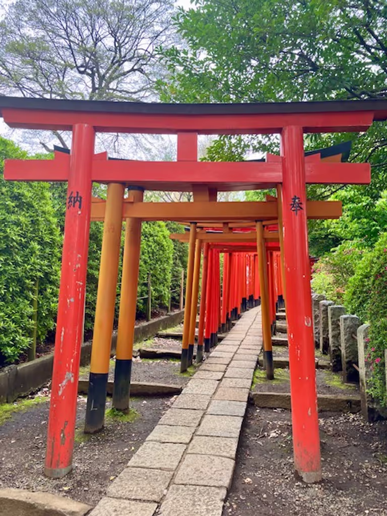 Tokyo Private Tour - Nezu Shrine Torii Gates