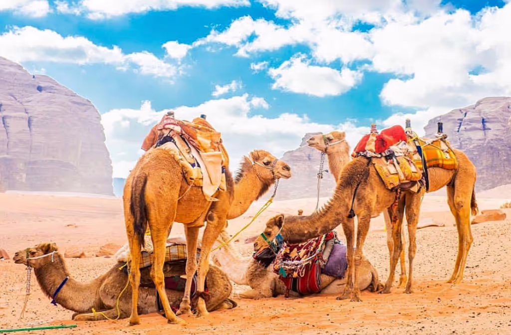 Amman Private Tour - 
