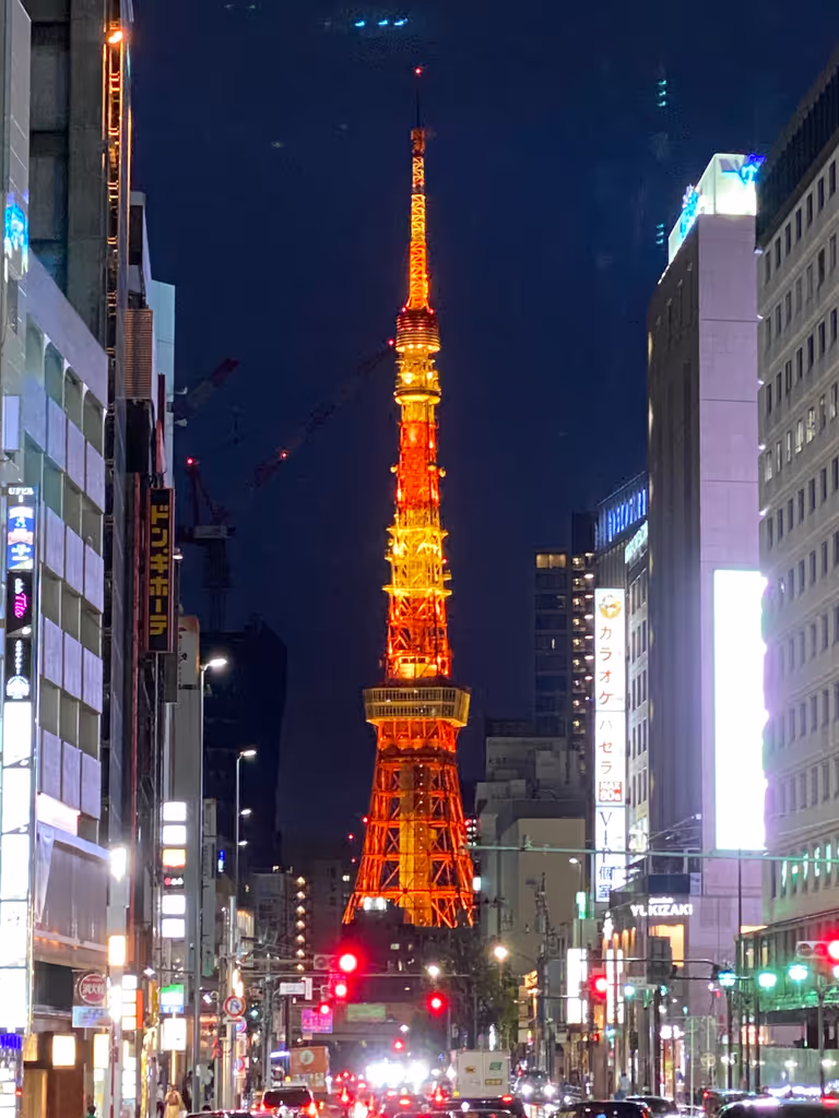 Tokyo Private Tour - Tokyo Tower