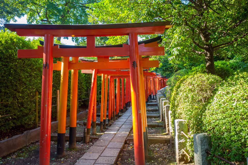 Tokyo Private Tour - Sennon-Torii (Nezu-Schrein)