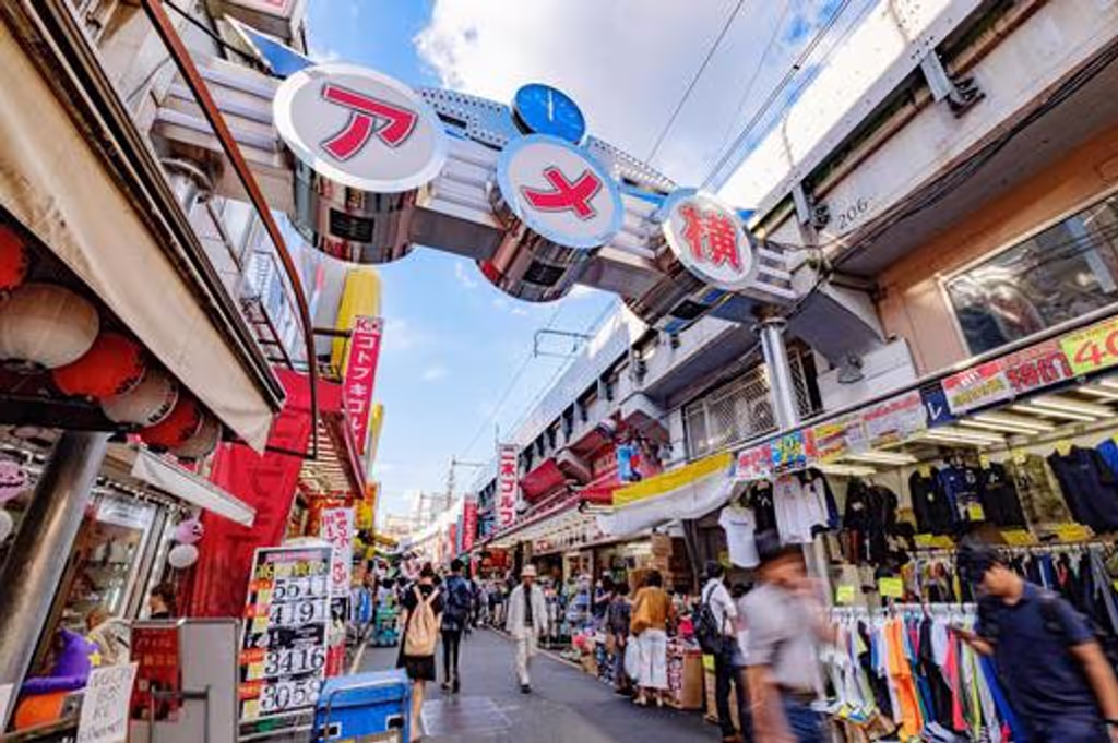 Tokyo Private Tour - Ameyoko-Straße