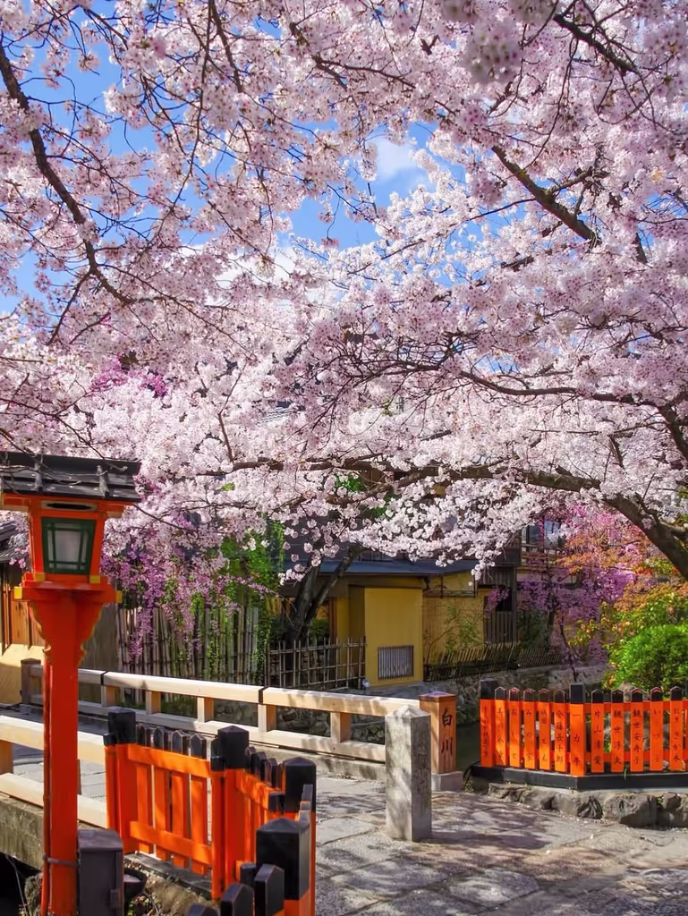 Kyoto Private Tour - 
