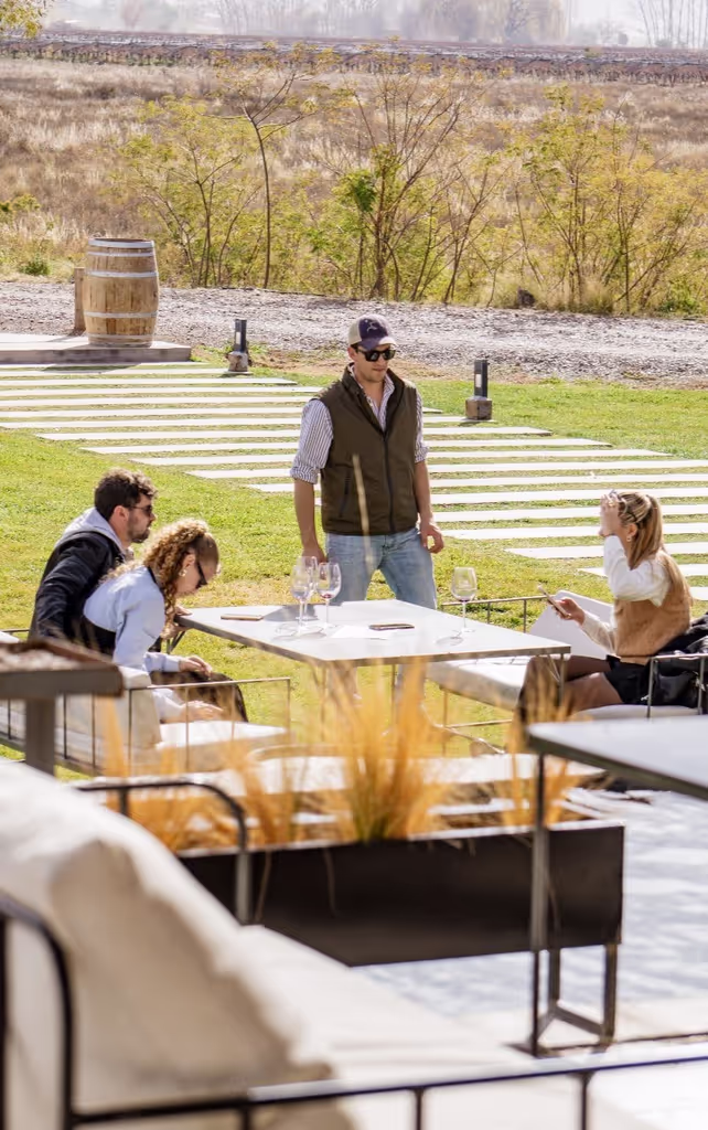 Mendoza Private Tour - 