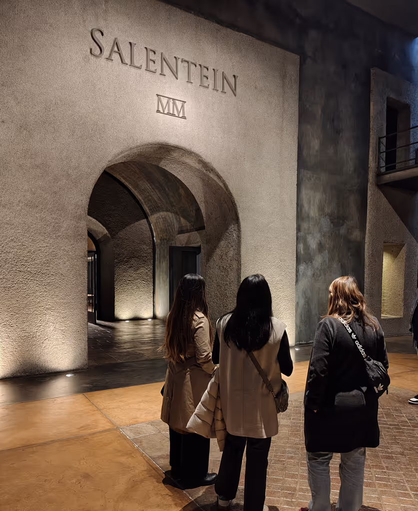 Mendoza Private Tour - 