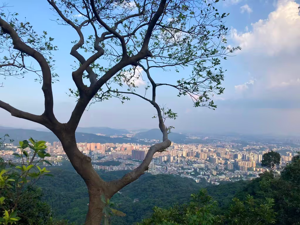 Guangzhou Private Tour - 