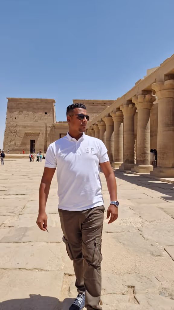 Aswan Private Tour - 