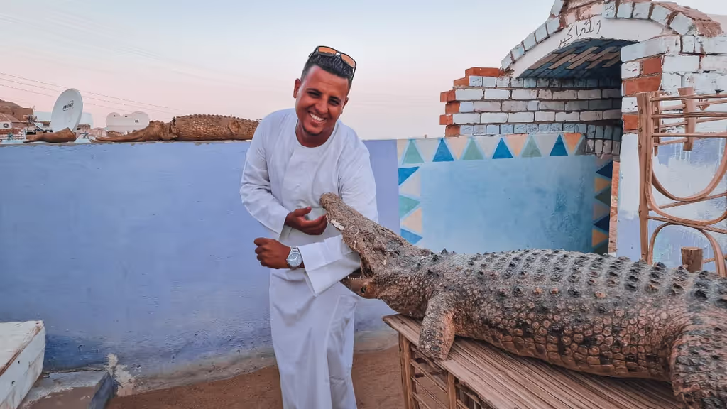 Aswan Private Tour - 