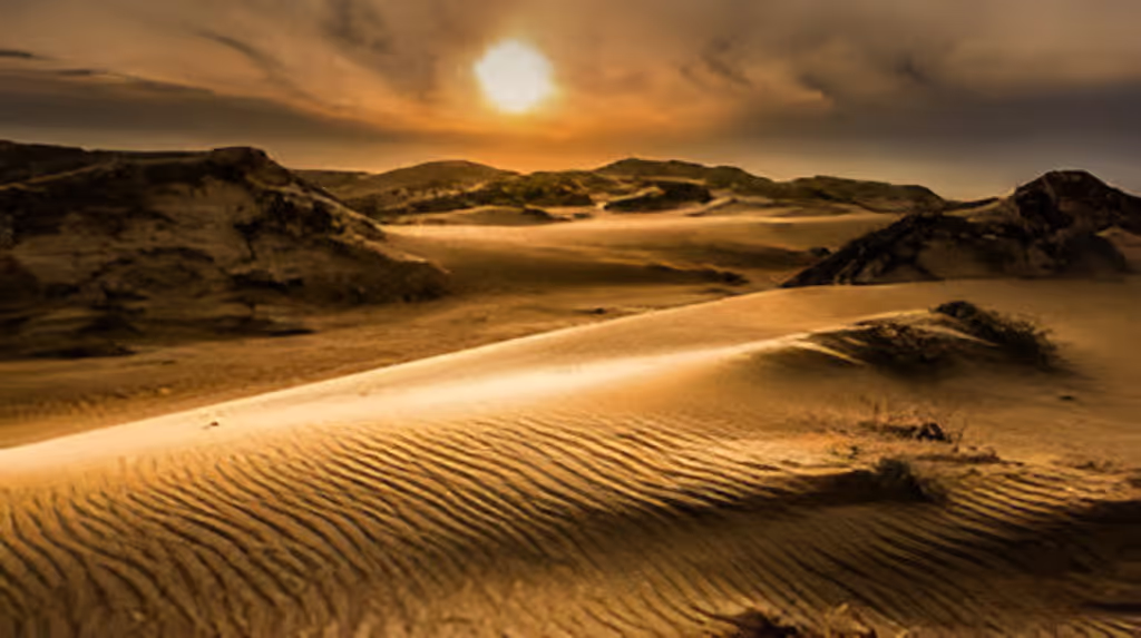 Aqaba Private Tour - 