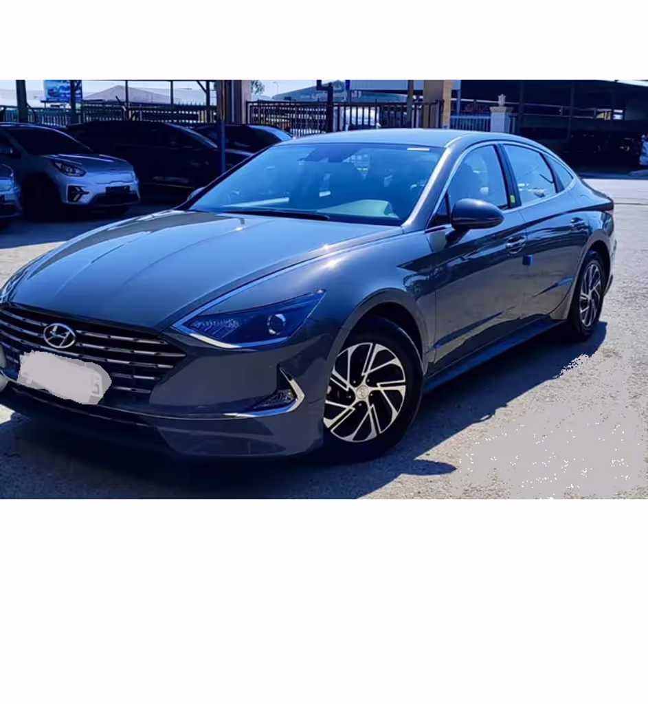 Aqaba Private Tour - 