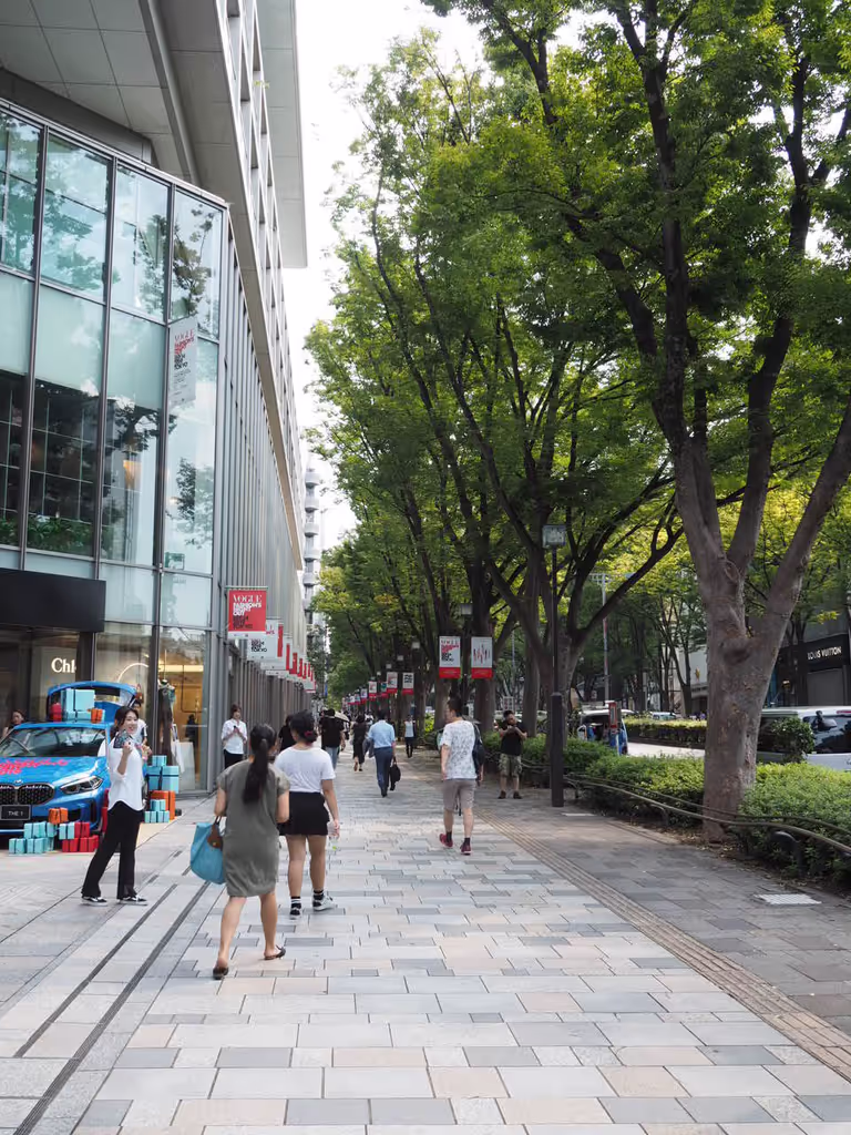 Tokyo Private Tour - Elegant shopping street, Omotesando, in Harajuku