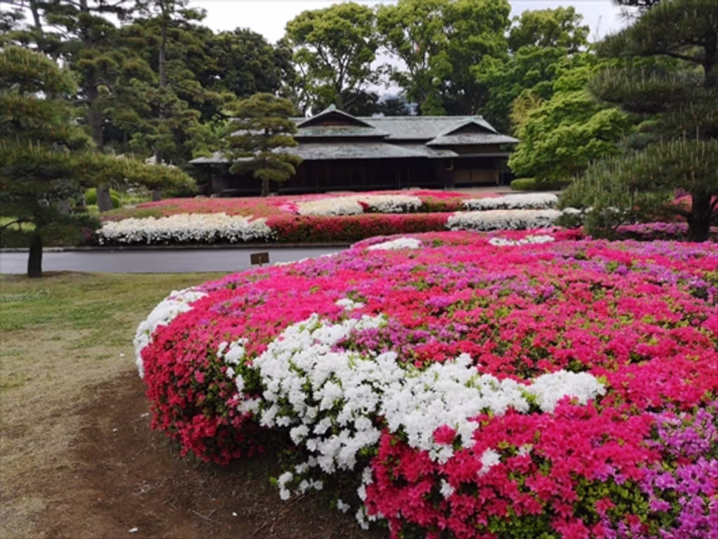 Tokyo Private Tour - Imperial Palace East Garden in spring