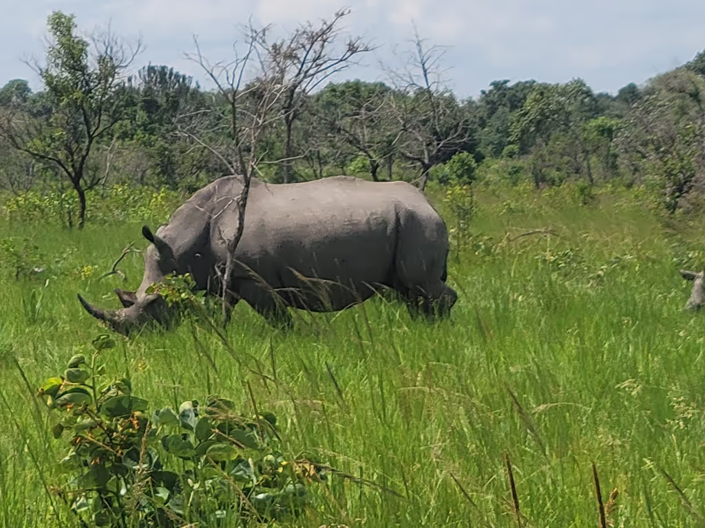 Kampala Private Tour - 