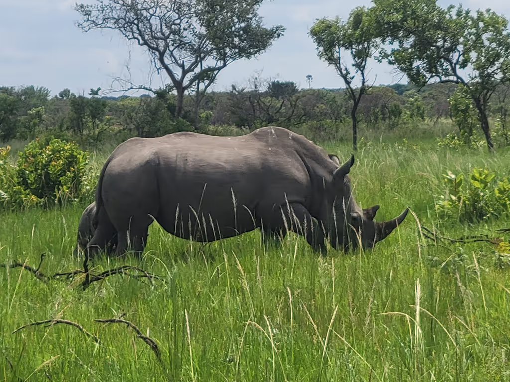 Kampala Private Tour - 