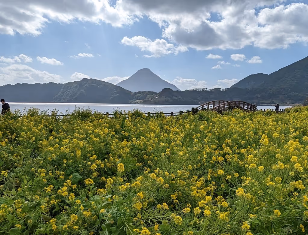 Kagoshima Private Tour - 