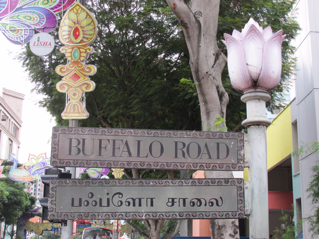Singapore Private Tour - Buffalo Road