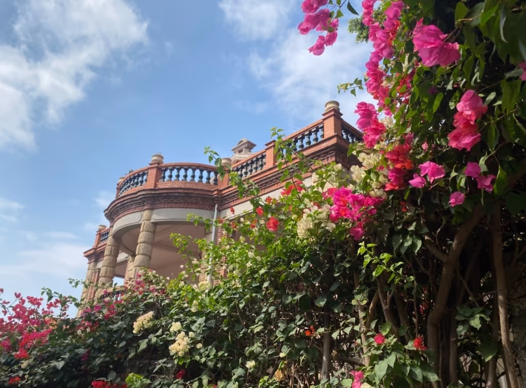 Xiamen Private Tour - 